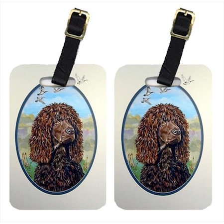 Carolines Treasures Carolines Treasures 7089BT Irish Water Spaniel Luggage Tags; Pack - 2 7089BT